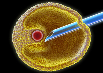 Successful Fertility Treatment in Turkey 2022