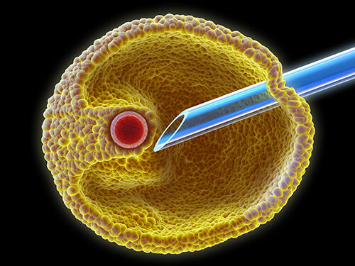 Successful Fertility Treatment in Turkey 2022