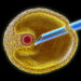 Successful Fertility Treatment in Turkey 2022