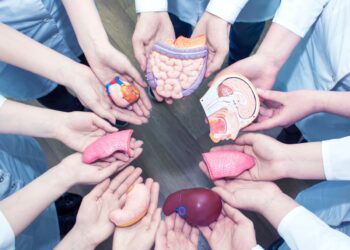 Organ and tissue transplantation in Turkey