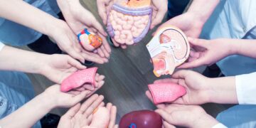 Organ and tissue transplantation in Turkey