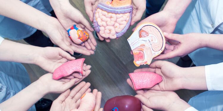 Organ and tissue transplantation in Turkey