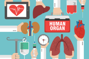 organ and tissue transplantation in Turkey